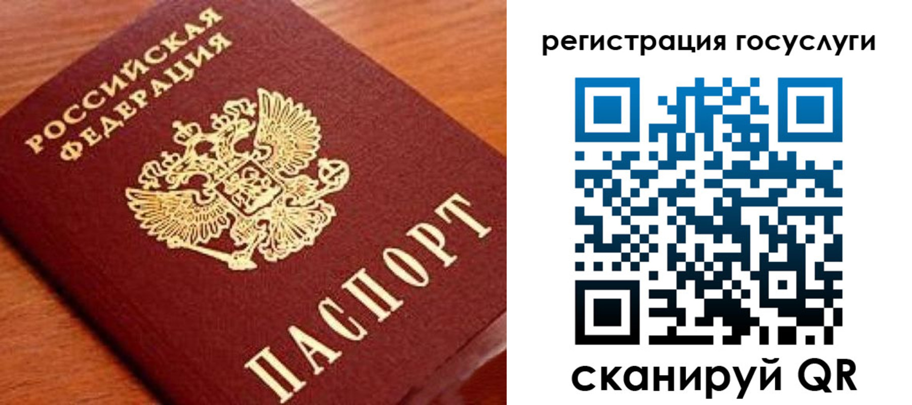 прописка иностранных граждан в Калтане