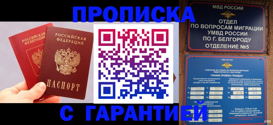 прописка 2025 в Калтане